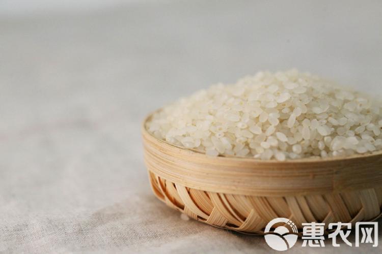 多种品种稻谷,糙米,大米,自有工厂和基地